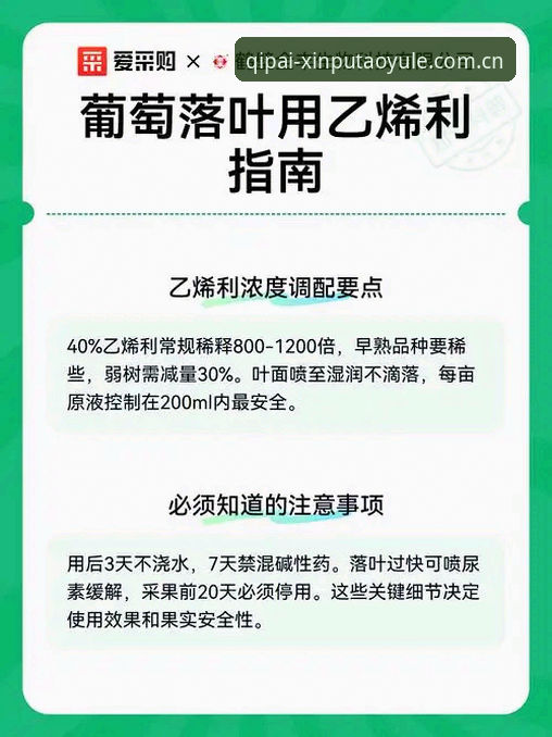 新葡萄娱乐怎么注册使用指南？从零开始掌握新葡萄棋牌平台的完整流程