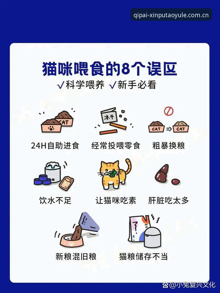 新手必看：资深玩家分享新葡萄棋牌平台安装与登录使用心得